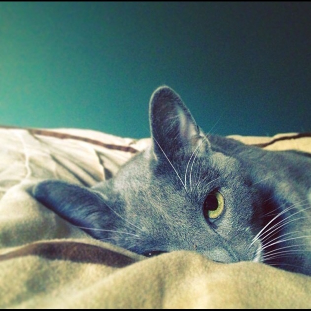 Meet your Posher, Katie